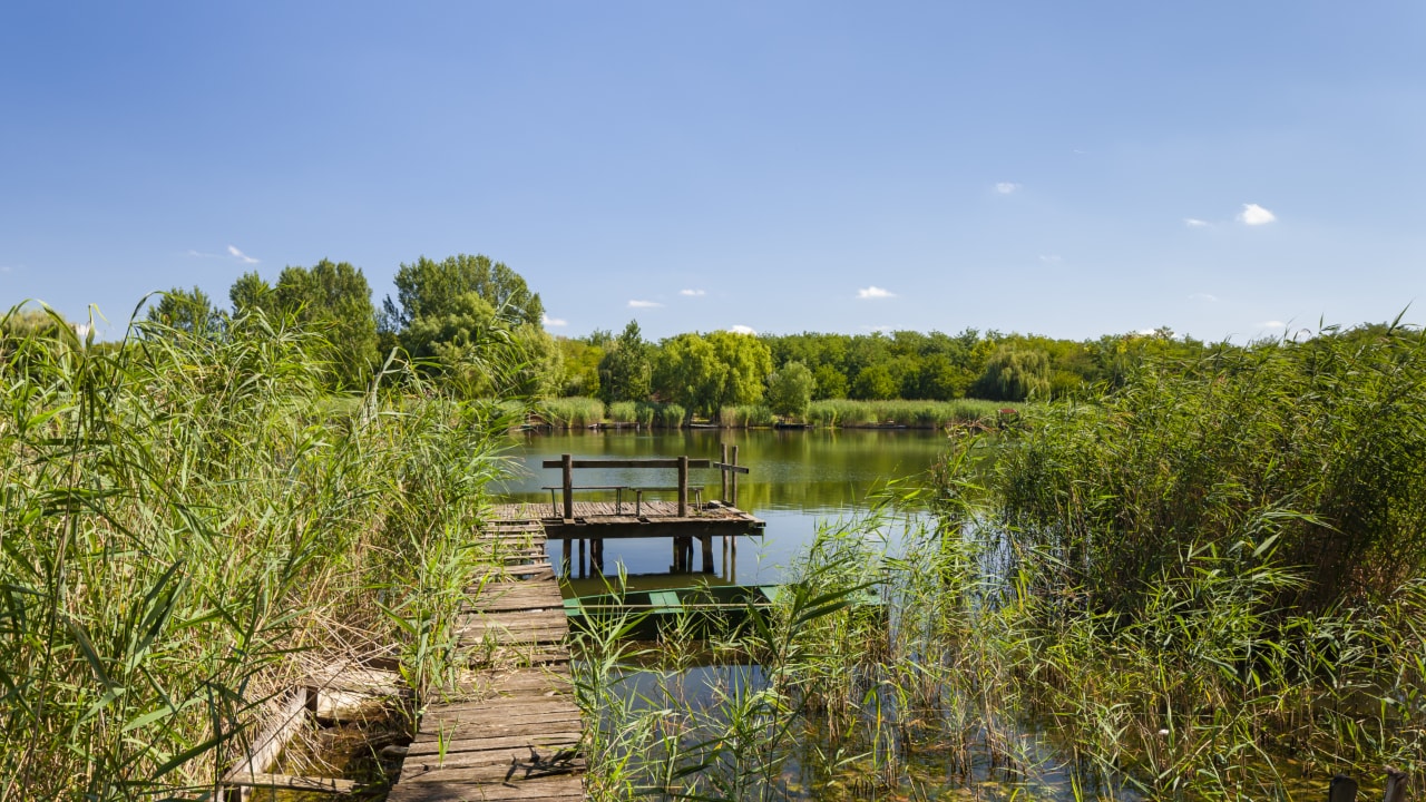 landscape of Tisza in Hungary
