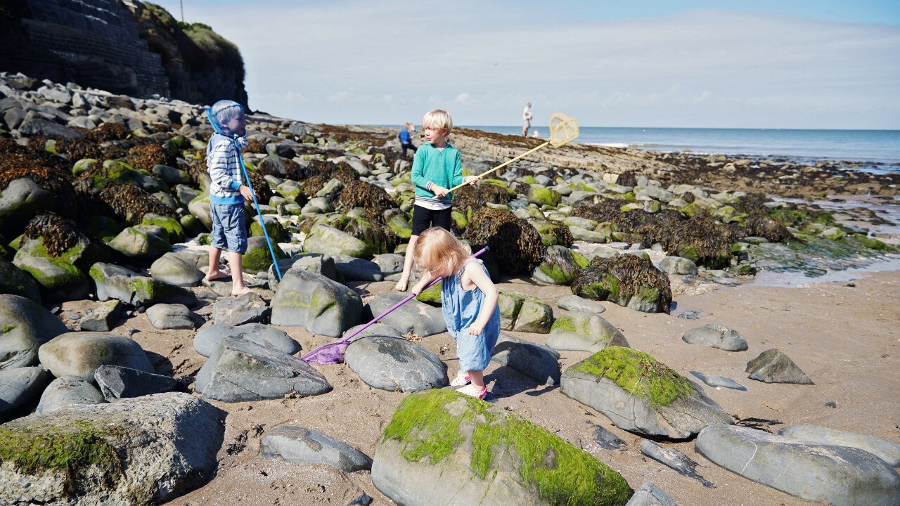 Children playing in rock pools on a beach